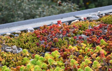 the cost of Penally green roof installation