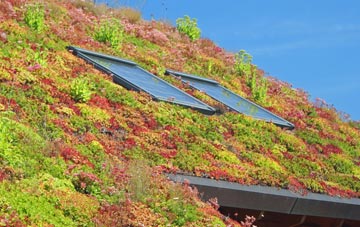 Penally living roof systems