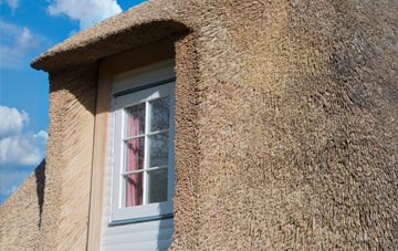 Penally thatch roof disadvantages