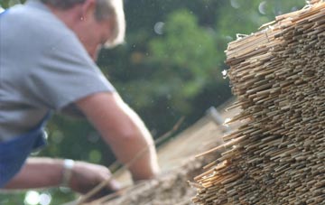 professional Penally thatchers