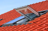 Penally roof window